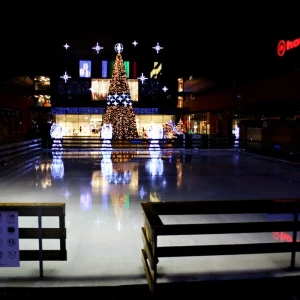 dzierzawa lodowisk rzeszow4