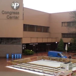 lodowisko na targach budma1